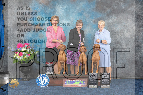 Vizsla #24 Family Judge Charles OlvisMJP_6287_HOUSTON_2023_HR3