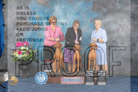 Vizsla #24 Family Judge Charles OlvisMJP_6292_HOUSTON_2023_HR3