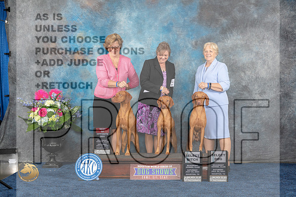 Vizsla #24 Family Judge Charles OlvisMJP_6295_HOUSTON_2023_HR3