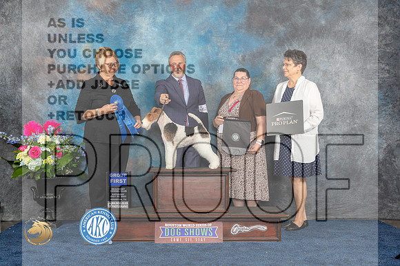 Wirehaired Fox Terrier #19 Sat G1 Judge Cindy LaneMJP_6118_HOUSTON_2023_HR3
