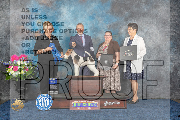 Wirehaired Fox Terrier #19 Sat G1 Judge Cindy LaneMJP_6122_HOUSTON_2023_HR3