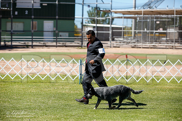 _JN_8902-AlamogordoOct2014-HR3