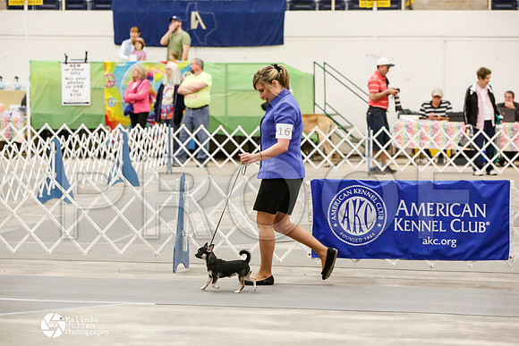 _CK_6212-AblnMay2014-web