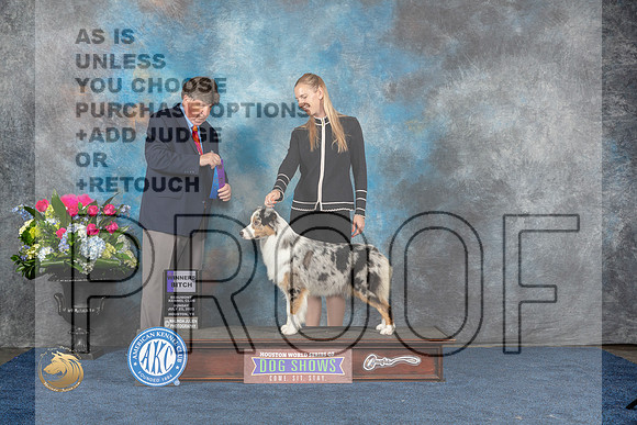 Australian Shepherd #12 Sun WB Judge Charles OlvisMJP_7300_HOUSTON_2023_HR3