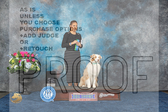 Australian Shepherd #72 Sun 1st NT Rally Novice Judge Cheryl TisdaleMJP_6945_HOUSTON_2023_HR3