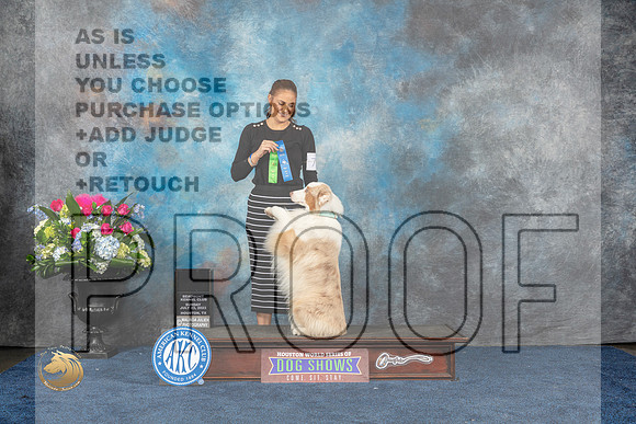 Australian Shepherd #72 Sun 1st NT Rally Novice Judge Cheryl TisdaleMJP_6952_HOUSTON_2023_HR3