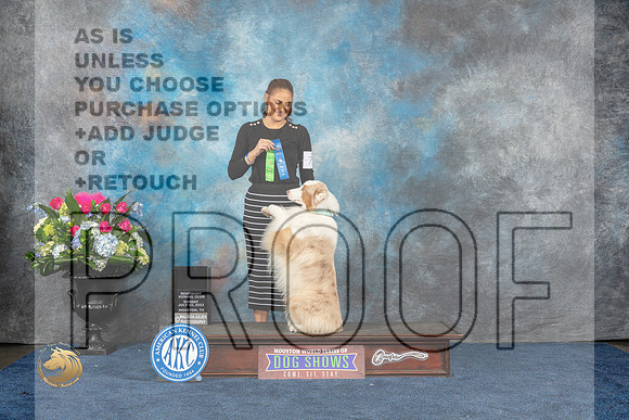 Australian Shepherd #72 Sun 1st NT Rally Novice Judge Cheryl TisdaleMJP_6953_HOUSTON_2023_HR3