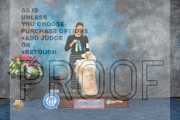 Australian Shepherd #72 Sun 1st NT Rally Novice Judge Cheryl TisdaleMJP_6956_HOUSTON_2023_HR3