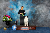 Australian Shepherd #81 Sun 3rd NT Rally Novice Judge Cheryl Tisdale