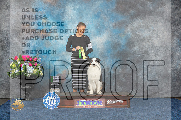 Australian Shepherd #81 Sun 3rd NT Rally Novice Judge Cheryl TisdaleMJP_6959_HOUSTON_2023_HR3