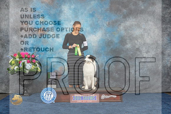 Australian Shepherd #81 Sun 3rd NT Rally Novice Judge Cheryl TisdaleMJP_6963_HOUSTON_2023_HR3
