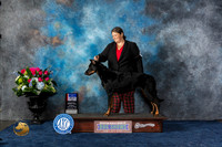 Beauceron #8 Sun WB BOS BOW MAJ Judge Charles Olvis