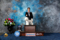 Bichon Frise #6 Sun WB BOW Judge Anne Gallant
