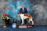 Borzoi #24 Sat WB Judge Raymond Filburn Jr