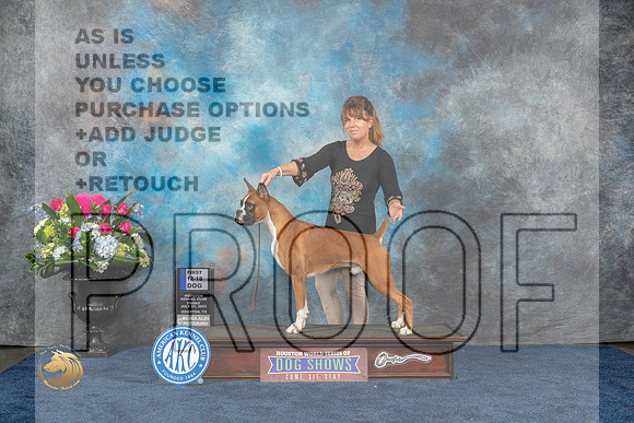 Boxer #41 Fri 1st Dog 12 18 Judge Patricia TrotterMJP_6916_HOUSTON_2023_HR3