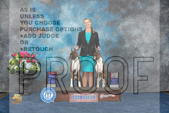 Boxer #42 #43 Wed WD BW BOS Fri WB BOS Judge ? Judge Patrcia Trotter rMJP_6935_HOUSTON_2023_HR3