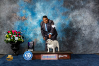 Bulldog #10 Sun WB Judge Ken Levison