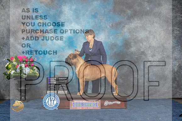 Bullmastiff #9 Thur G4 Sun NC Judge Joe Deleo Judge Joan LiebesMJP_7276_HOUSTON_2023_HR3