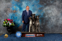 Deerhound Borzoi Sun CUSTOM