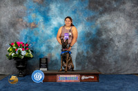 Dutch Shepherd #? Sun CUSTOM