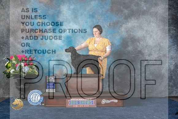 English Cocker Spaniel #6 Wed BISw Judge Margarita Nichols rMJP_7341_HOUSTON_2023_HR3