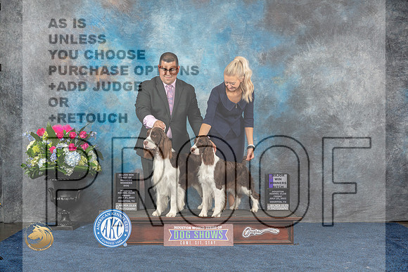 English Springer Spaniel #14 #23 Fri WB WD MAJ Judge Britt JungMJP_7463_HOUSTON_2023_HR3
