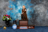 French Bulldog #9 Sun WD BOW MAJ Judge Ken Levison