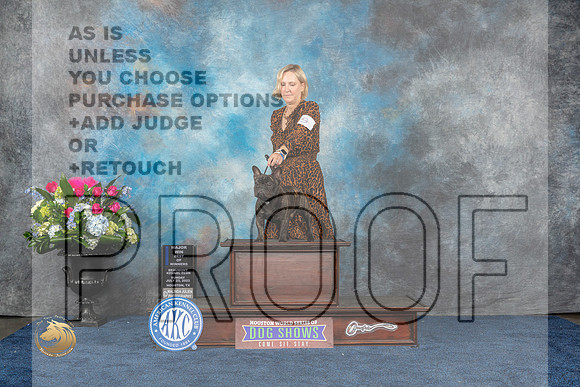 French Bulldog #9 Sun WD BOW MAJ Judge Ken LevisonMJP_7035_HOUSTON_2023_HR3