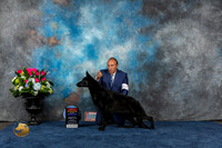 German Shepherd Dog #36 Sun WB BOS NC MAJ Judge Lydia Hutchinson