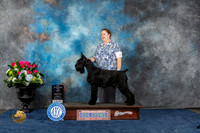 Giant Schnauzer #8 Sun WB NC MAJ Judge Del Richards