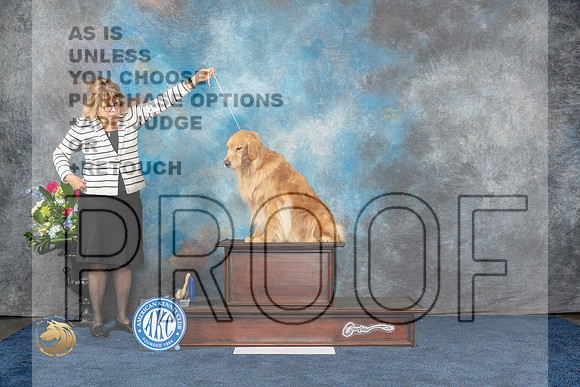 Golden Retriver Family 2 Sun CUSTOMMJP_6783_HOUSTON_2023_HR3