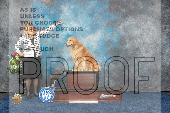 Golden Retriver Family 2 Sun CUSTOMMJP_6787_HOUSTON_2023_HR3