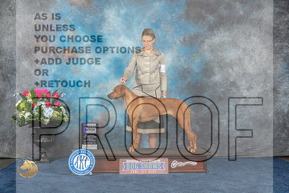Rhodesian Ridgeback #14 Sun WB Judge Raymond Filburn JrMJP_6834_HOUSTON_2023_HR3