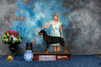 Rottweiler #18 Sun WB BOW MAJ Judge Del Richards