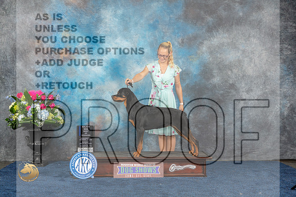 Rottweiler #18 Sun WB BOW MAJ Judge Del RichardsMJP_7221_HOUSTON_2023_HR3