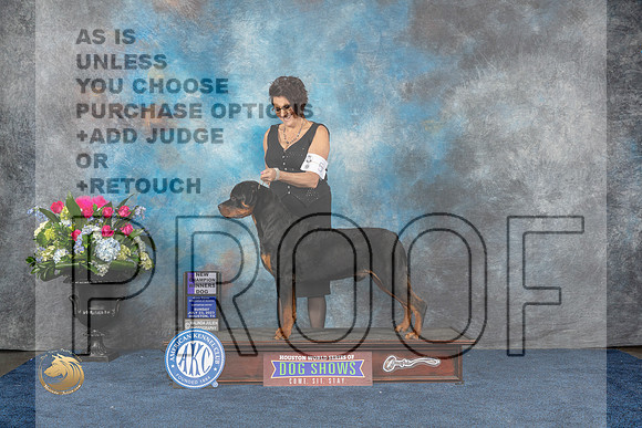 Rottweiler #27 Sun WD NC Judge Del RichardsMJP_7010_HOUSTON_2023_HR3