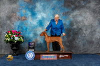 Vizsla #18 Sun WB MAJ Judge Patricia Trotter