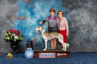 Saluki #9 Sun BOW NC MAJ Judge Cheryl Paterson