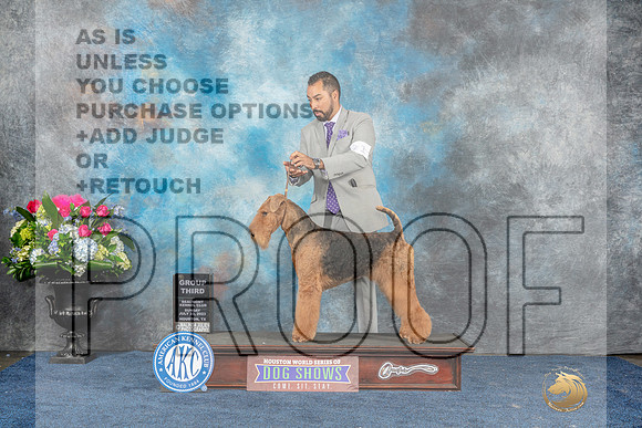 Airedale #11 Sun G3 Judge Pat Trotter-MJP_7992_HSTN2023-HR3