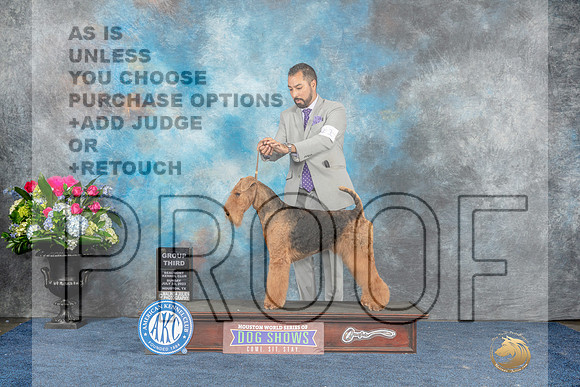 Airedale #11 Sun G3 Judge Pat Trotter-MJP_7993_HSTN2023-HR3