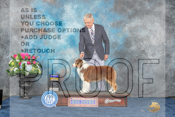 Australian Shepherd #26 Fri BOB Judge Eric Liebes-MJP_7582_HSTN2023-HR3