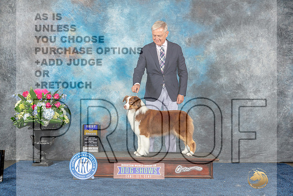 Australian Shepherd #26 Fri BOB Judge Eric Liebes-MJP_7584_HSTN2023-HR3