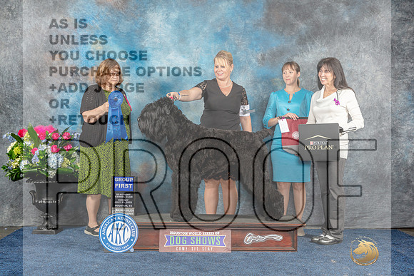 Black Russian Terrier #5 Sun G1 Judge Elizabeth Muthard-MJP_8082_HSTN2023-HR3