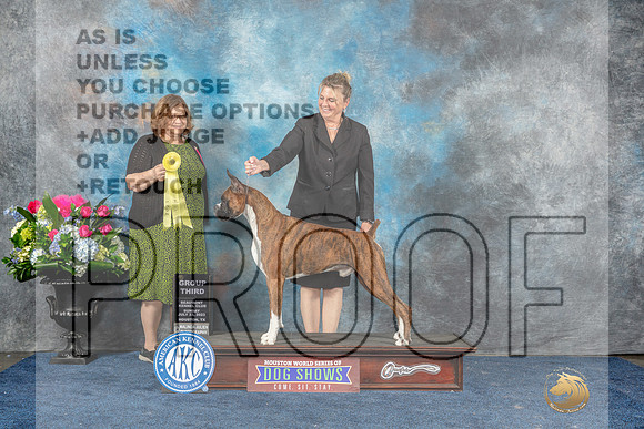 Boxer #51 Sun G3 Judge Elizabeth Muthard-MJP_8094_HSTN2023-HR3