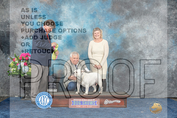 Bulldog #16 Sun OHRBIS Judge Charles Olvis-MJP_8382_HSTN2023-HR3