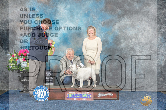 Bulldog #16 Sun OHRBIS Judge Charles Olvis-MJP_8383_HSTN2023-HR3