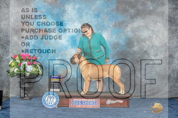 Bullmastiff #10 Sun BOB Judge Joan Liebes-MJP_7619_HSTN2023-HR3