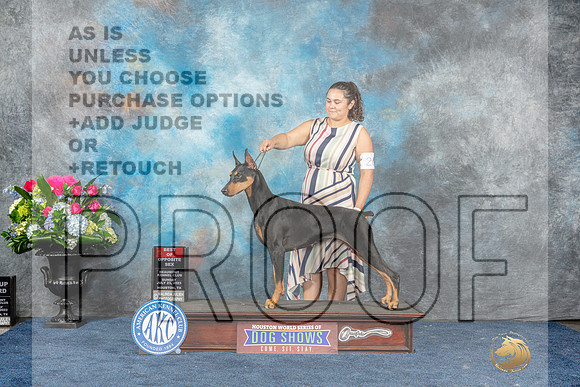 Doberman PInscher #26 Sun BOS Judge Del Richards-MJP_8223_HSTN2023-HR3