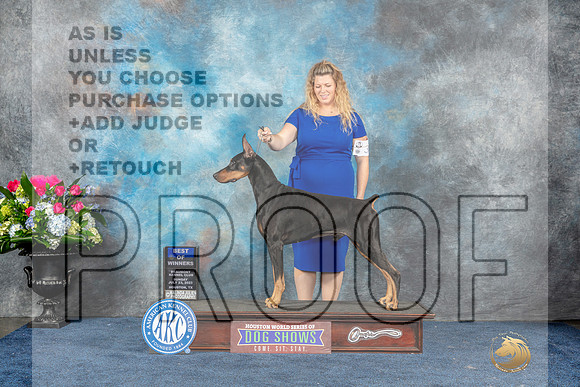 Doberman Pinscher #21 Sun BOW Judge Del Richards-MJP_7727_HSTN2023-HR3