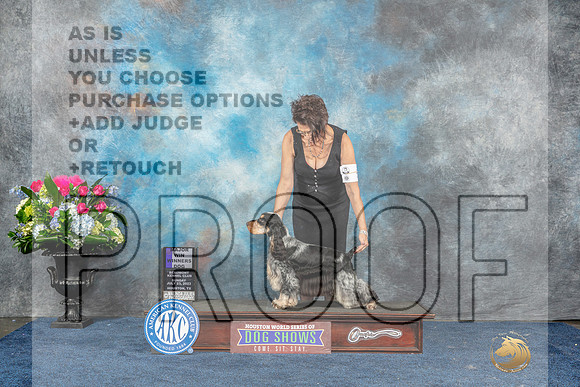 English Cocker Spaniel #9 Sun WDM  Judge Cheryl Patterson r-MJP_7826_HSTN2023-HR3